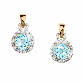 Icy Dream Earrings